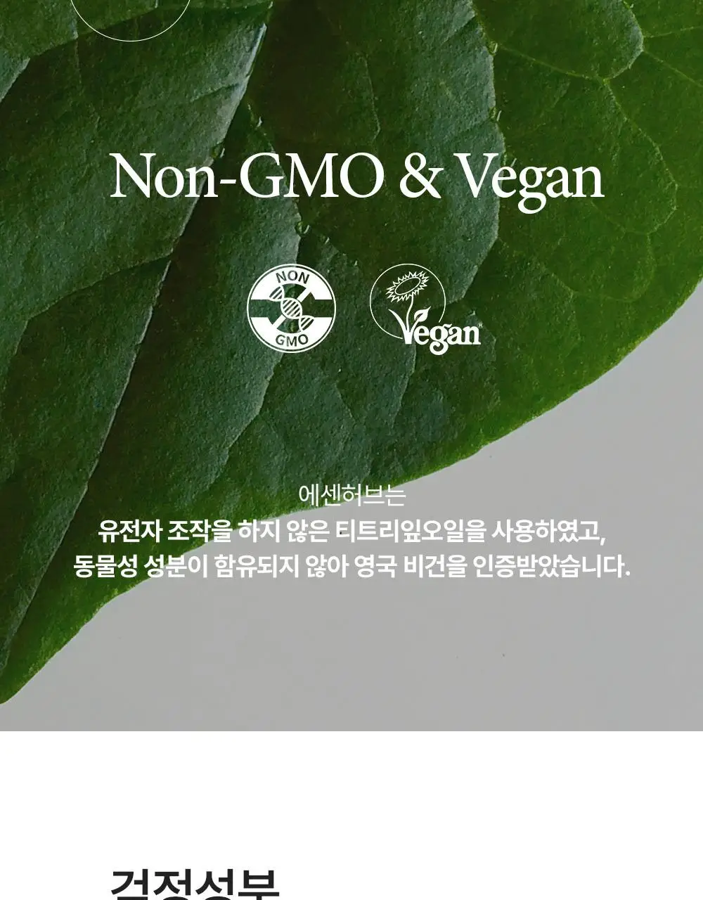 [단독기획] 에센허브 티트리 100 오일 10ml 기획(+크림10ml+면봉 50P 증정) 상세페이지 16